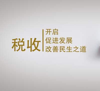 財(cái)稅規(guī)劃(財(cái)稅)