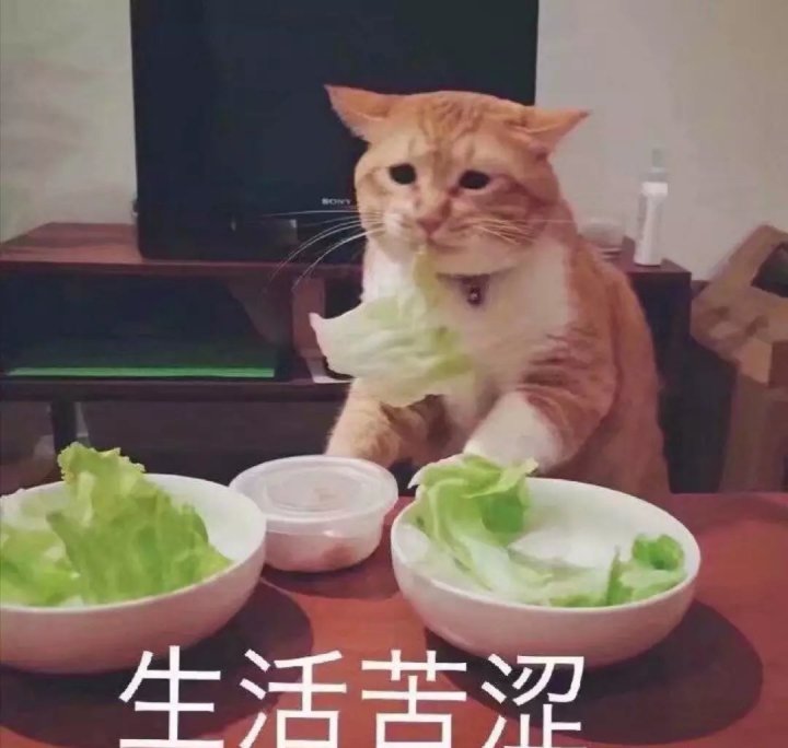 避稅(企業(yè)避稅和個(gè)人避稅的方法)