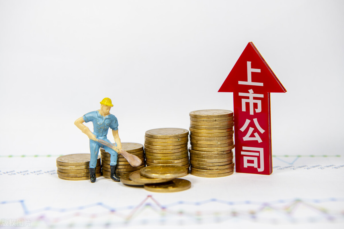 價值投資學(xué)習(xí)筆記——3、公司上市的好處？