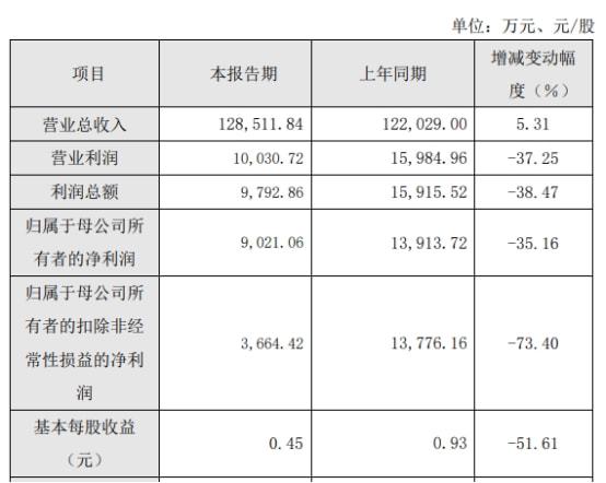 財務費用分析(費用財務預算表格式)