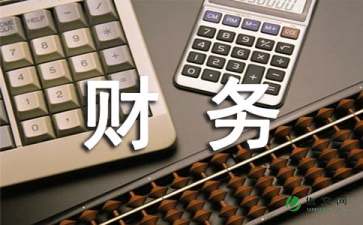 財(cái)務(wù)顧問年度總結(jié)