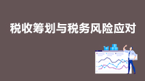 納稅籌劃風(fēng)險(企業(yè)納稅實務(wù)與稅收籌劃全攻略)