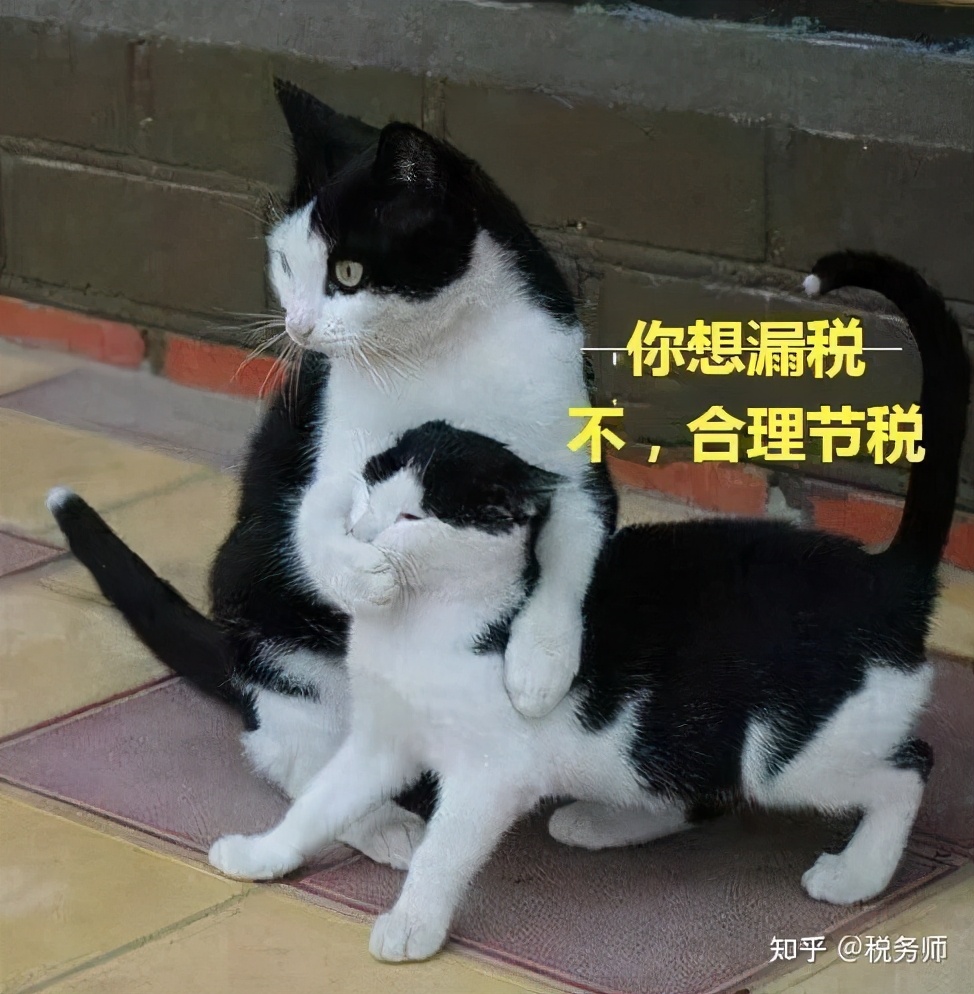 稅務(wù)籌劃，真的可以為公司企業(yè)節(jié)稅嗎？靠譜嗎？
