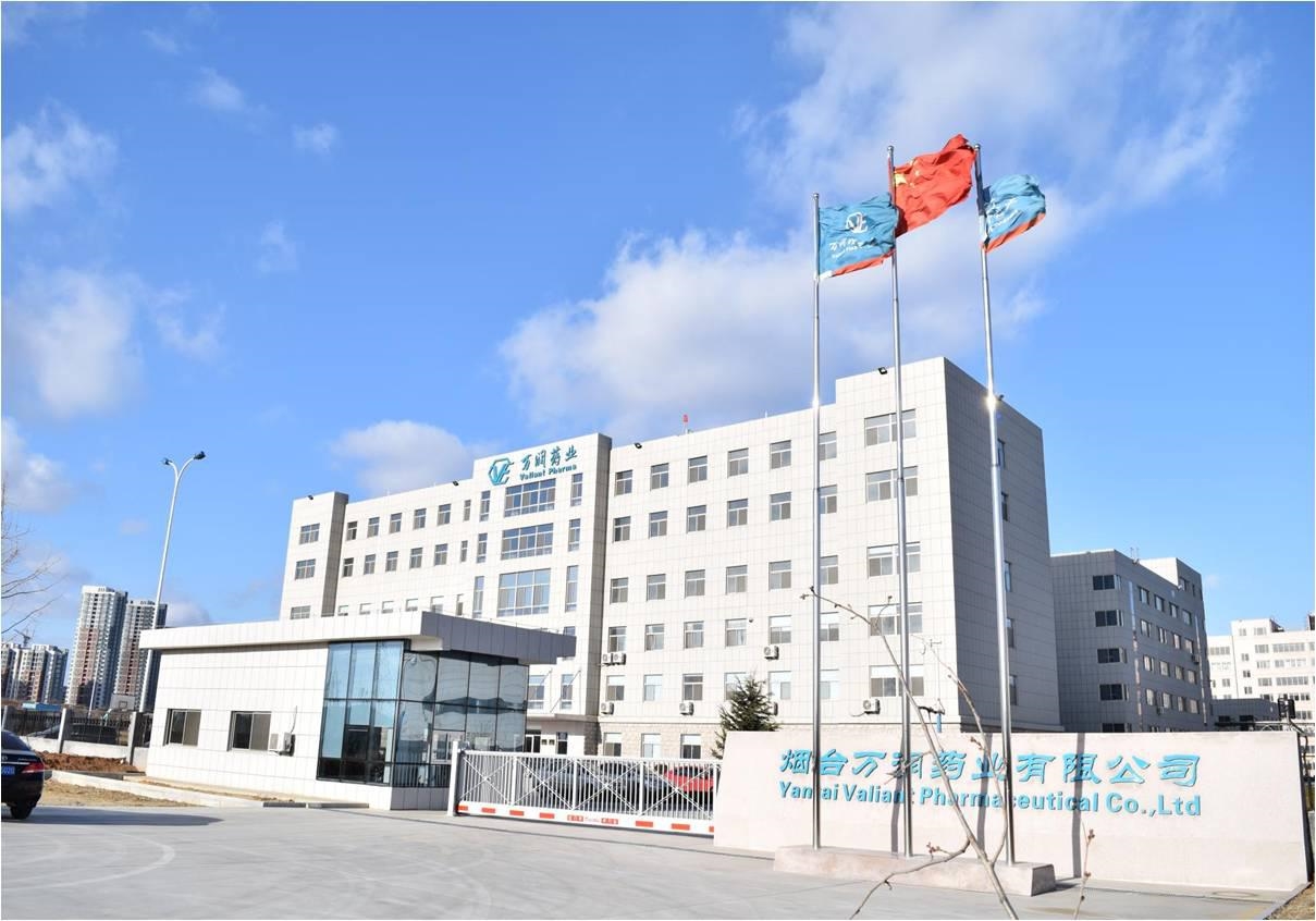 風力發(fā)電上市公司(風力發(fā)電機吊裝公司)