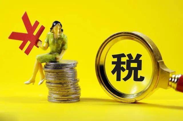 避稅港(?？诔鲑Y把東方八所港籌建成高排港是什么形式的港)