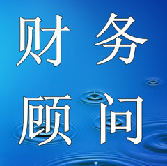 常年財(cái)務(wù)顧問資料