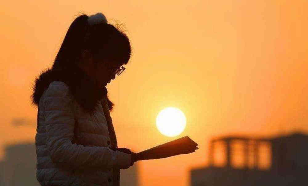 企業(yè)的財(cái)務(wù)風(fēng)險(xiǎn)主要來自(關(guān)于國外對財(cái)務(wù)風(fēng)險(xiǎn)方面的研究有哪些文獻(xiàn)？2000-2017年的（作者)(圖7)