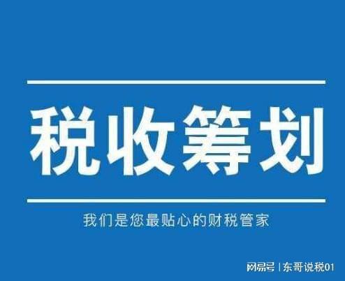 納稅籌劃的主體是